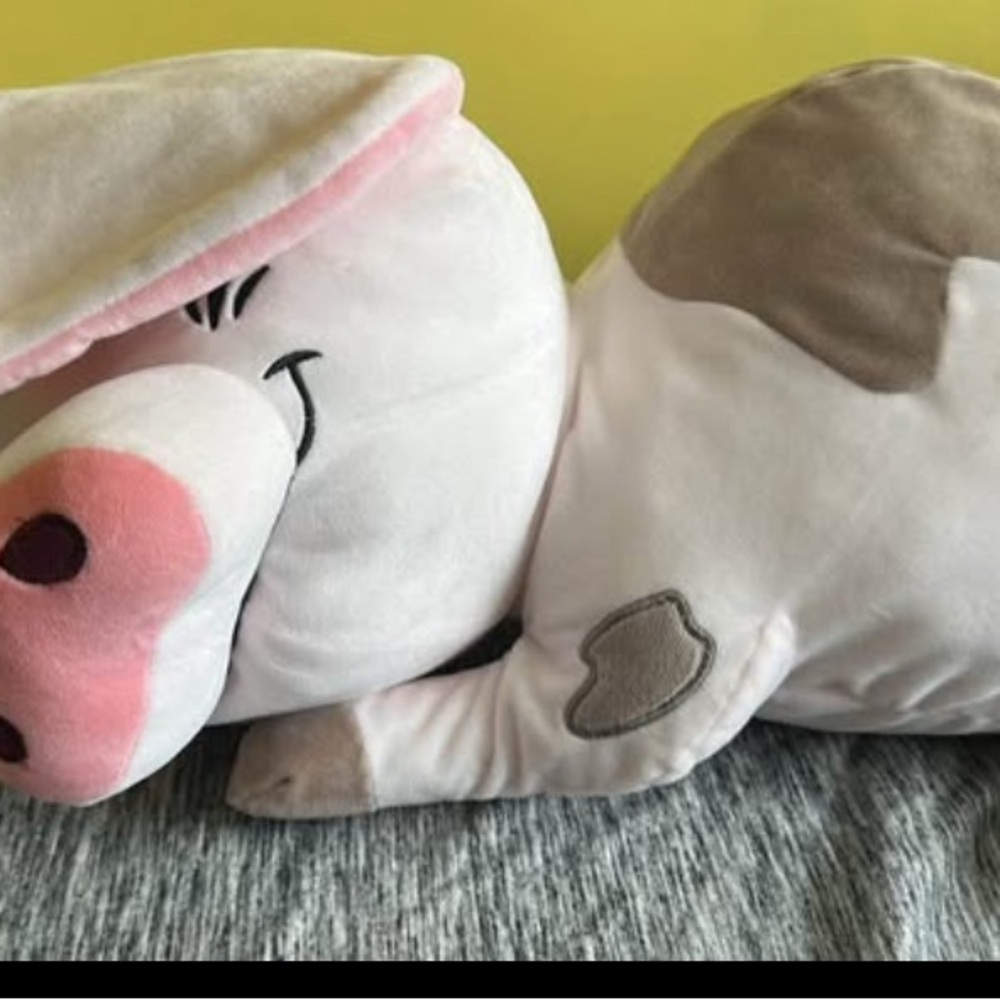 Disney Sleeping Pua Moana